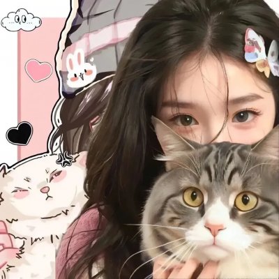 机动战士高达SEED FREEDOM